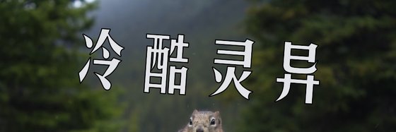 冷酷灵异&十九部火爆的经典作品